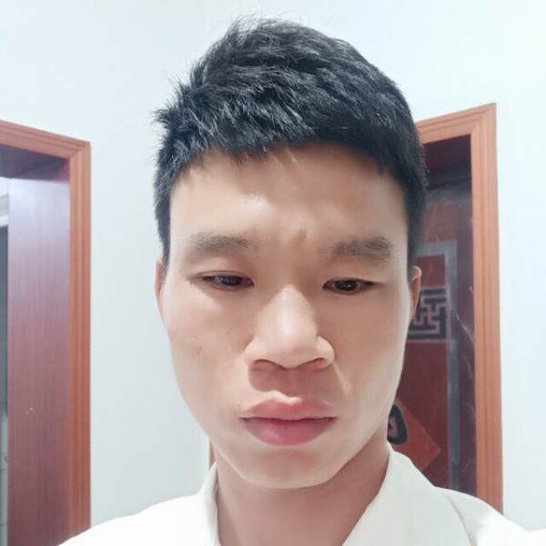 孤单的单身狗的照片