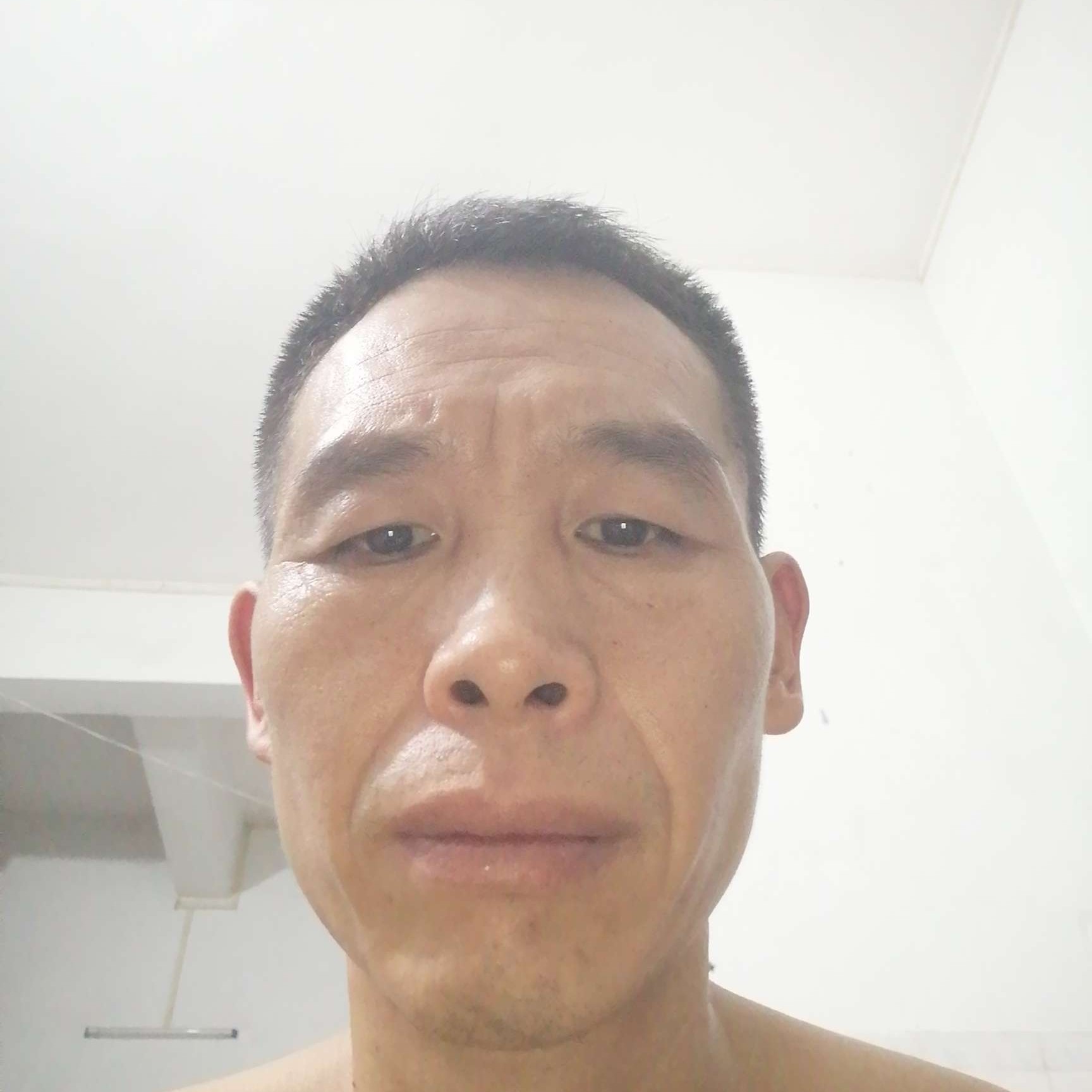 花瓣蹙眉多情的照片