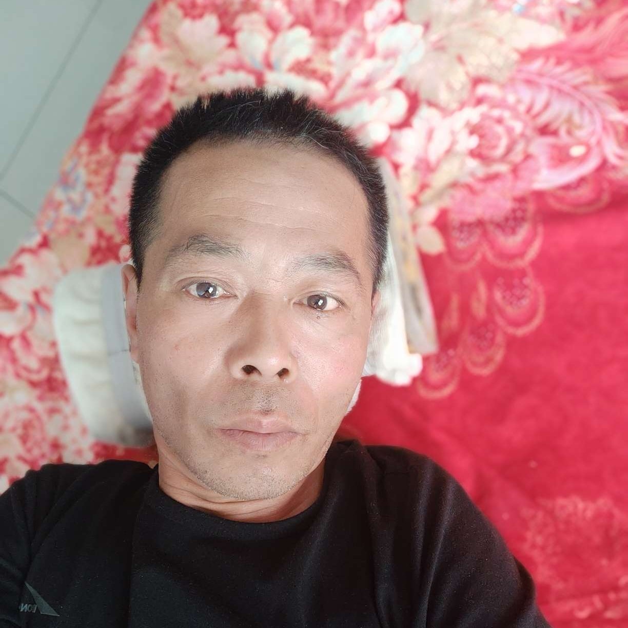 月亮自然的照片