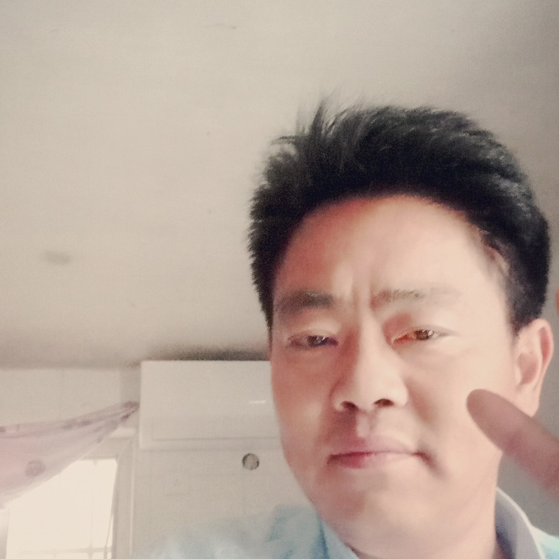寻找真爱寻找真爱的照片