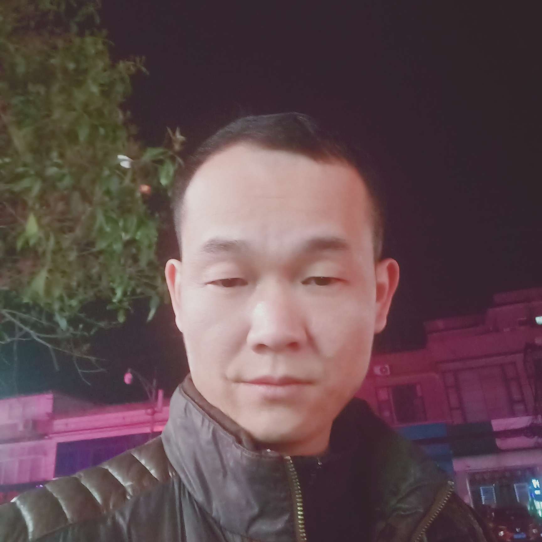 大胆苦恋河马的照片