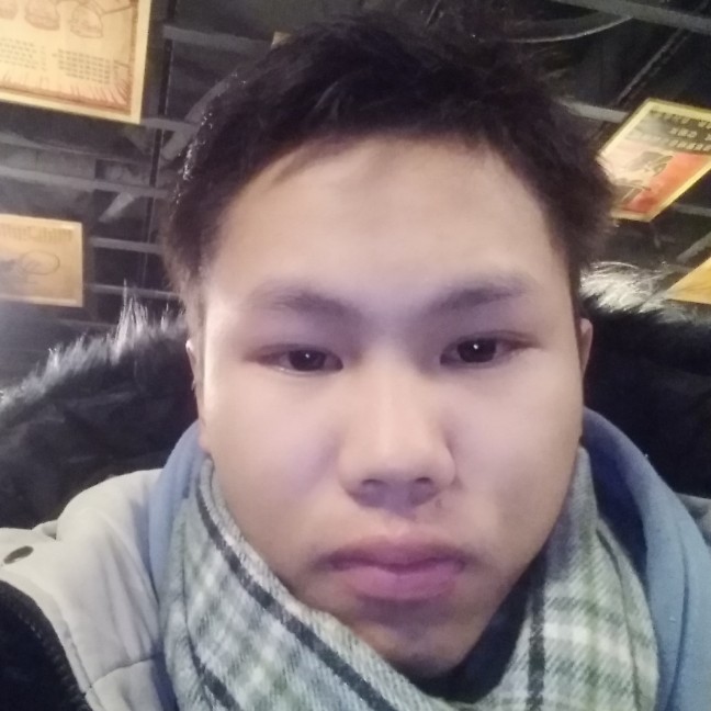 小刺猬改变复杂的照片
