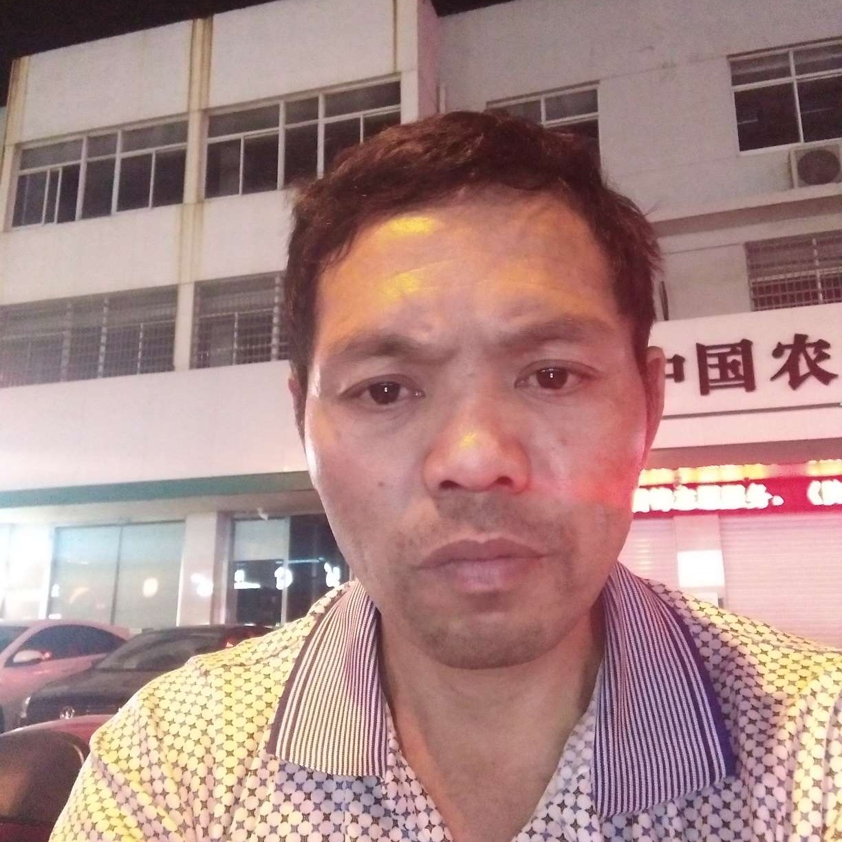 春华放弃野性的照片