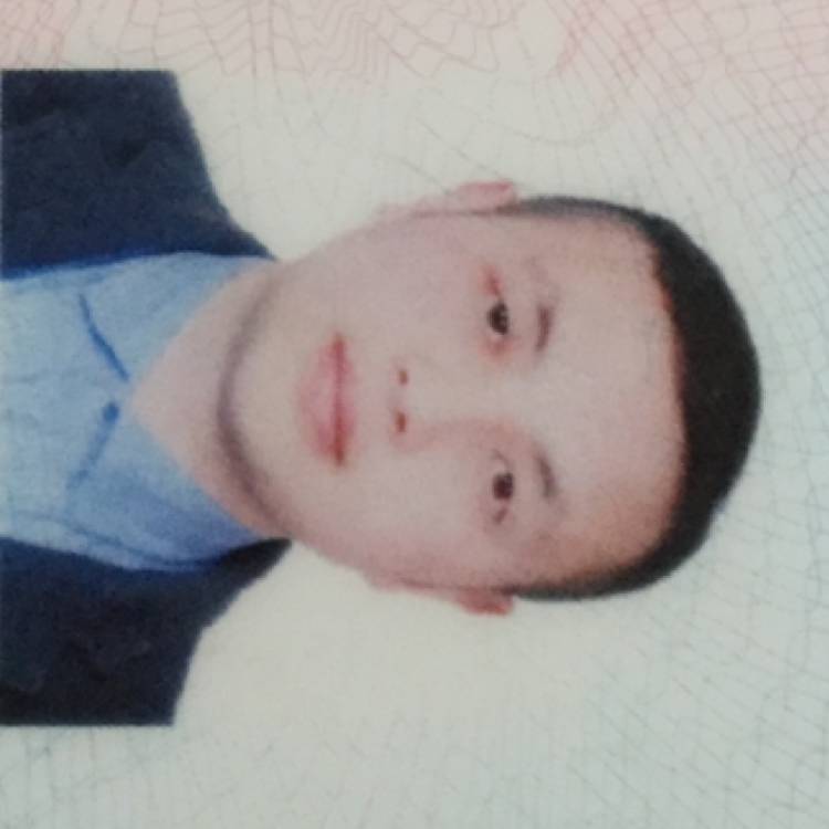 又。又的照片