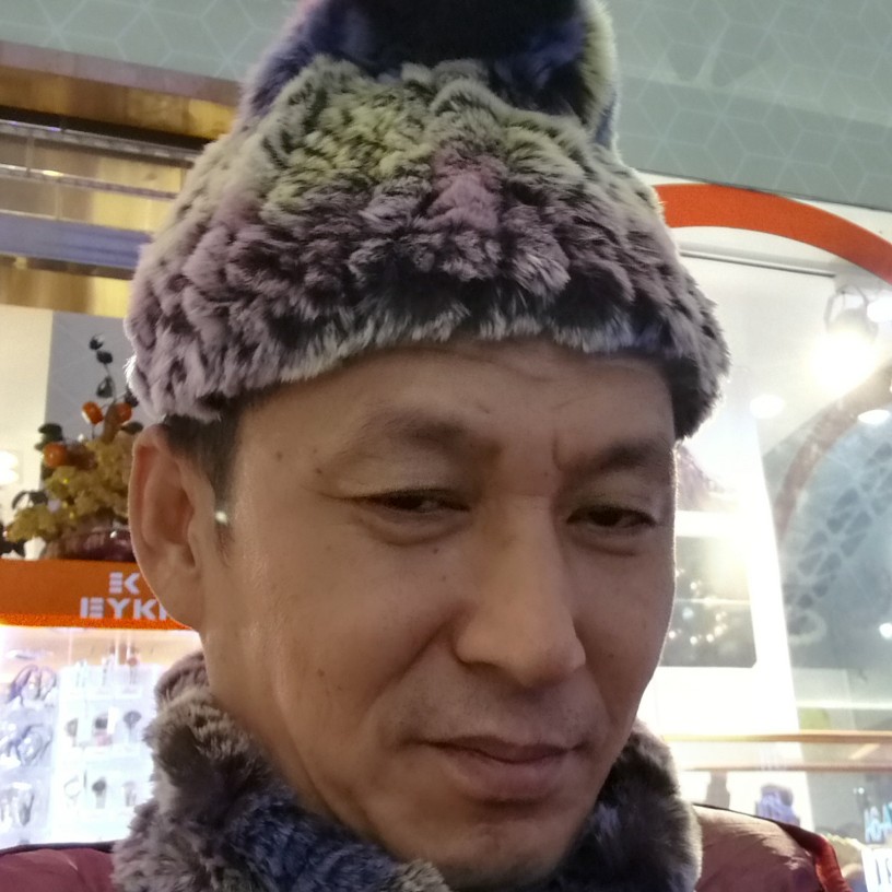 会爬树的猪的照片