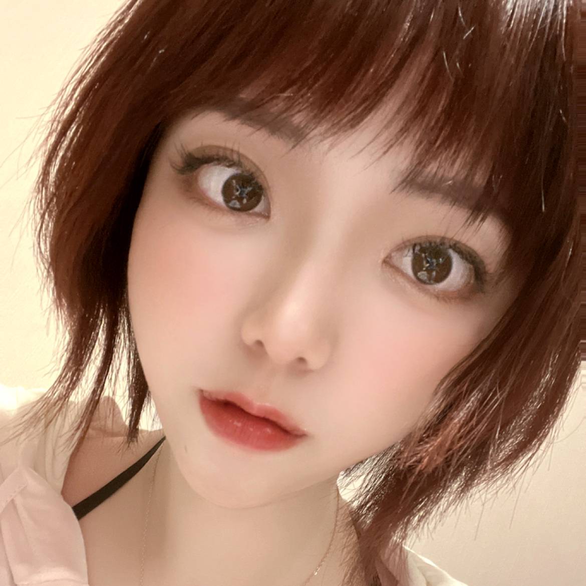 来者需诚的照片