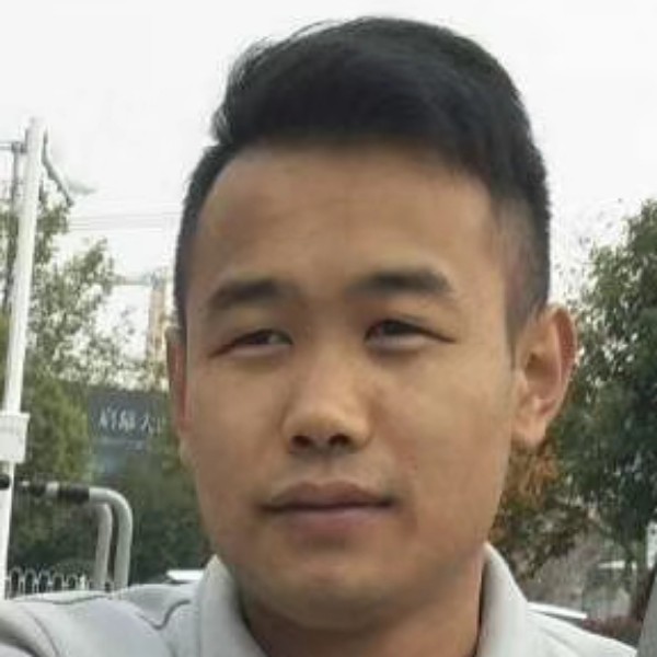 猫咪挽手洁净的照片