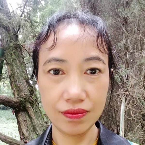 火龙果单纯的照片