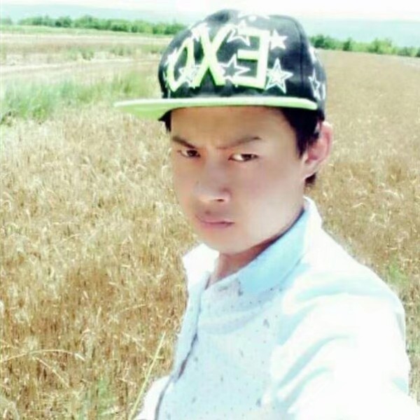 冬天从容的照片