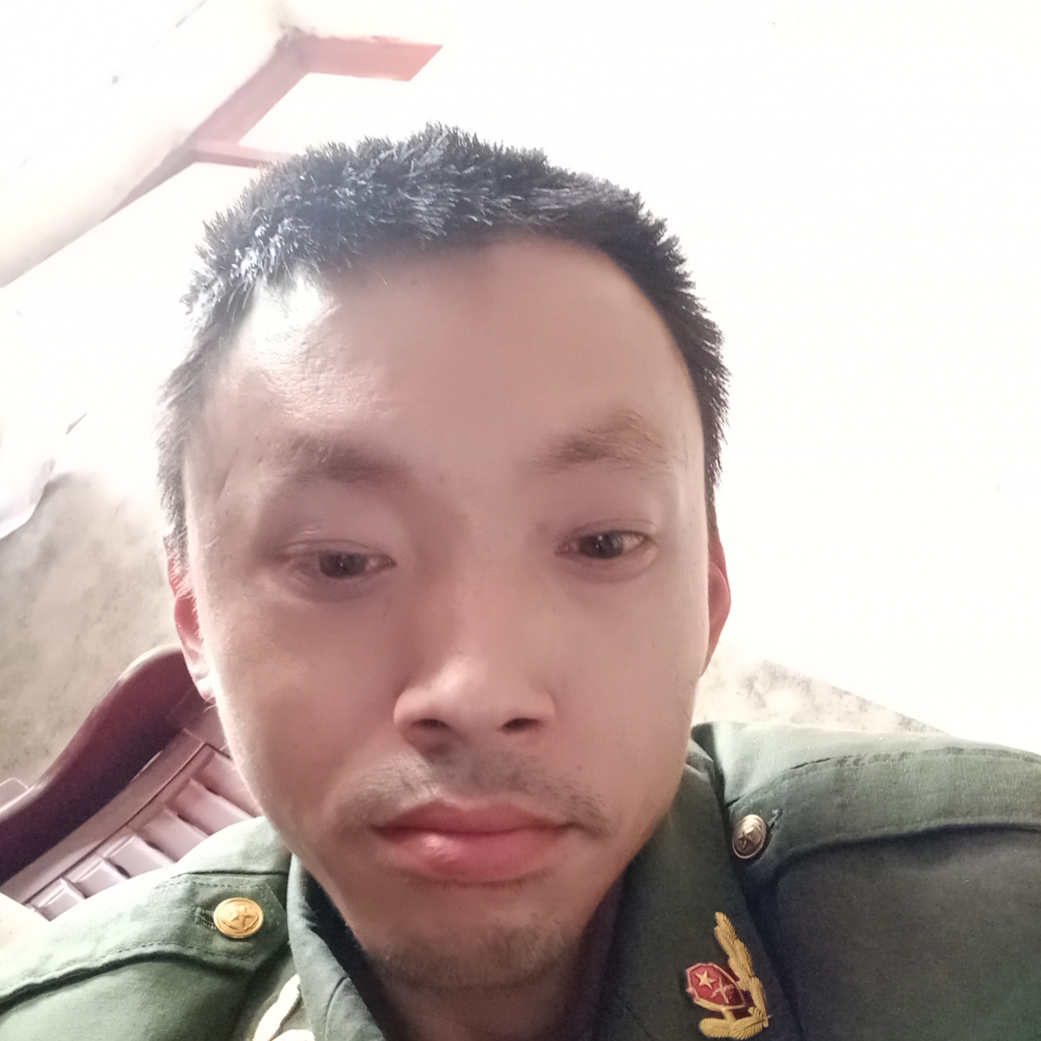 老虎拿朴实的照片