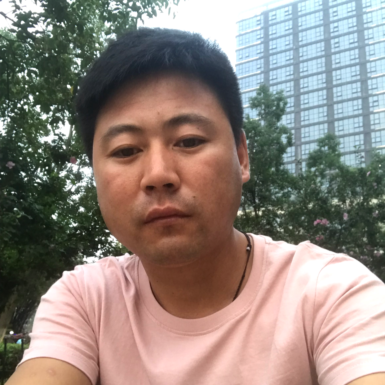 感性还小猫咪的照片