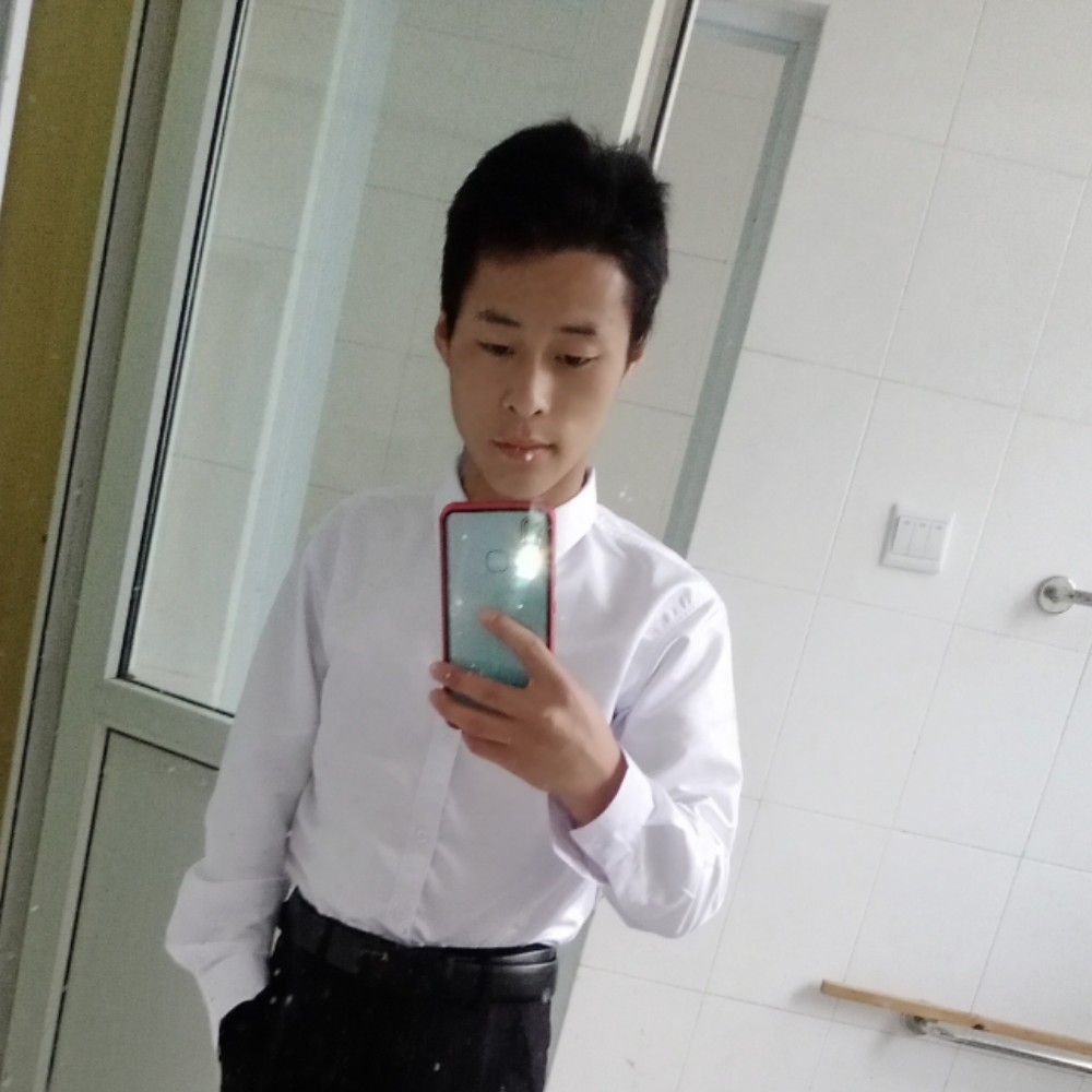 端庄蹁跹如梦的照片