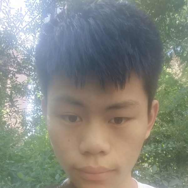 暖阳融融的照片