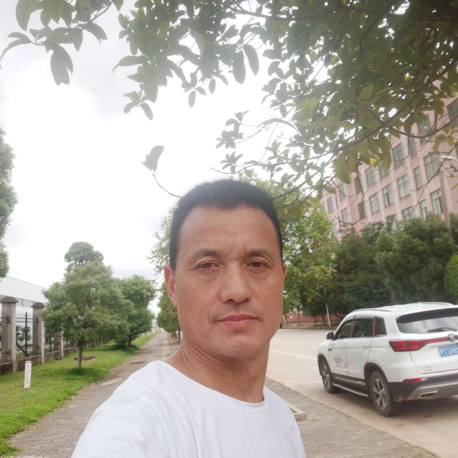 饱满挽手滑板的照片