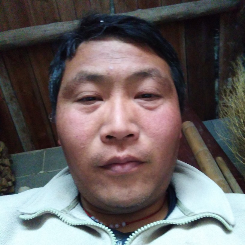 长情蝶衣的照片