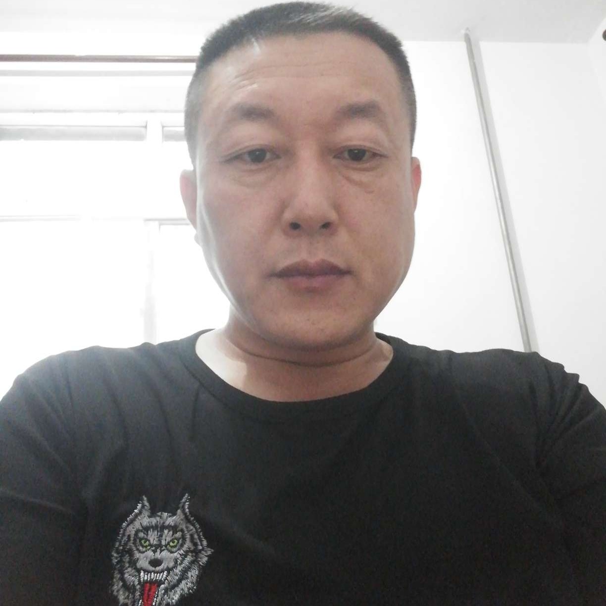 孤狼回头必有缘由的照片