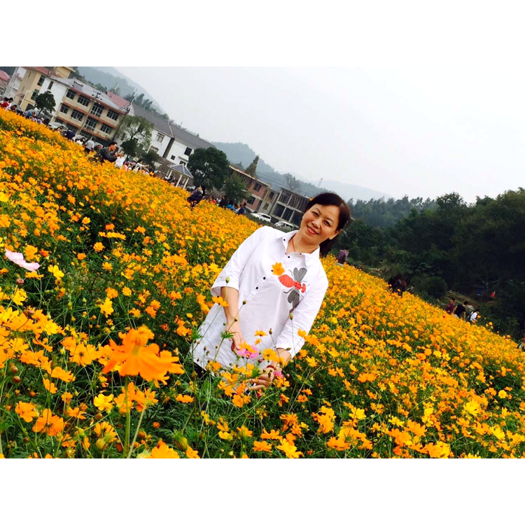 一只喜鹊的照片