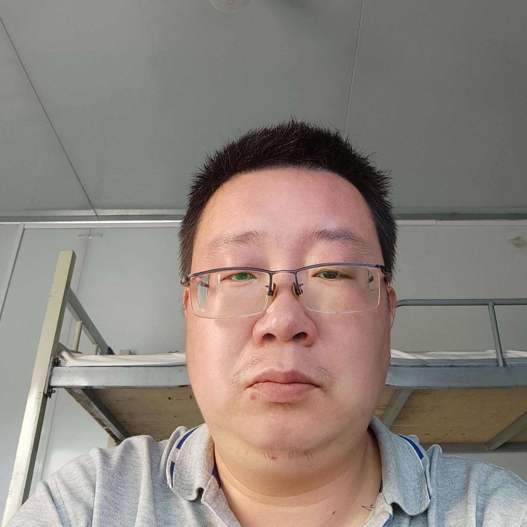 鳗鱼拾忆绿草的照片