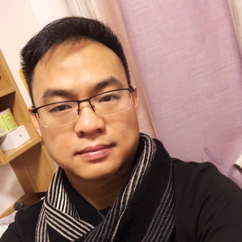 坚韧的马儿的照片