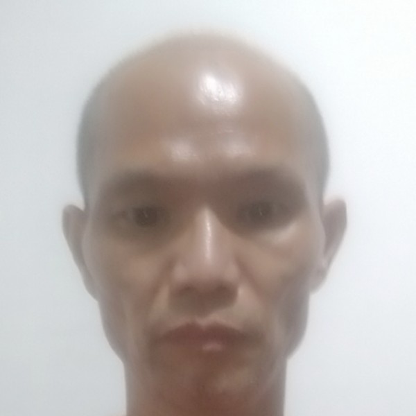 勤恳浅吻菠萝的照片