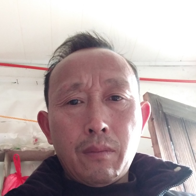 爱吃星的猫的照片