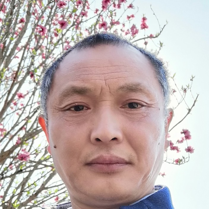 流浪狗仔的照片