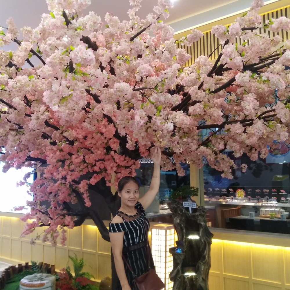 会员856912249的照片