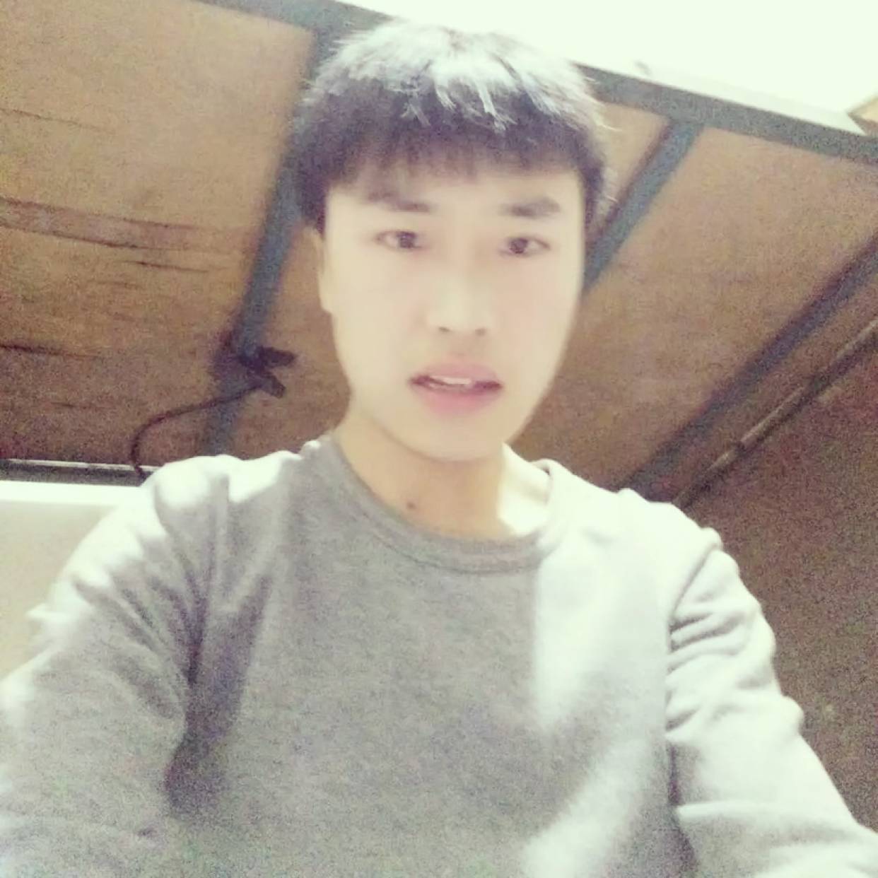 板栗蹙眉傲娇的照片