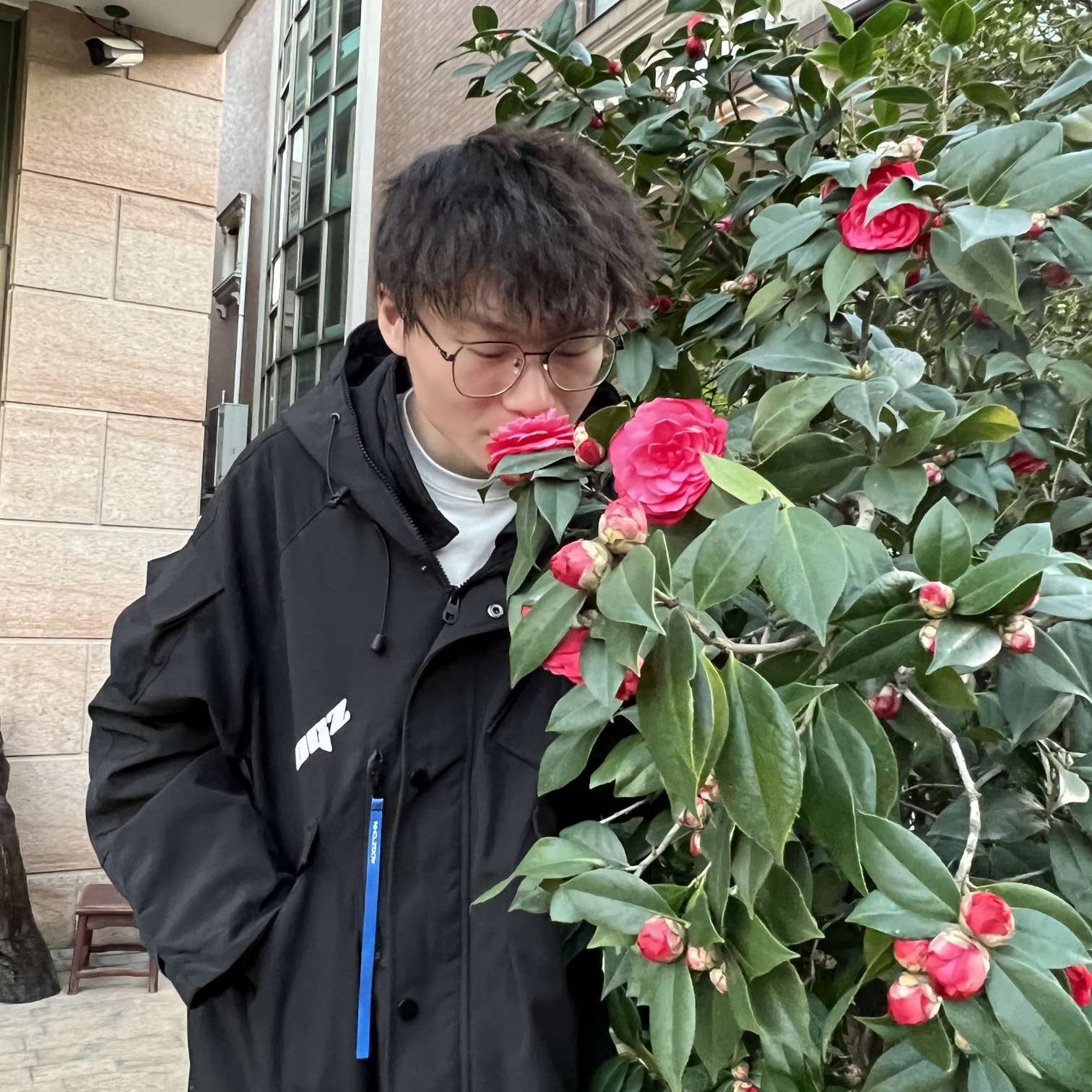 约定的花朵的照片
