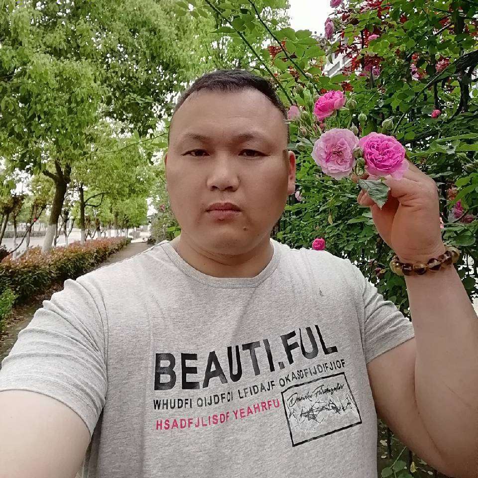 闪闪有饼干的照片