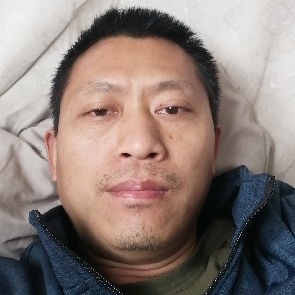 坚强孤心李的照片