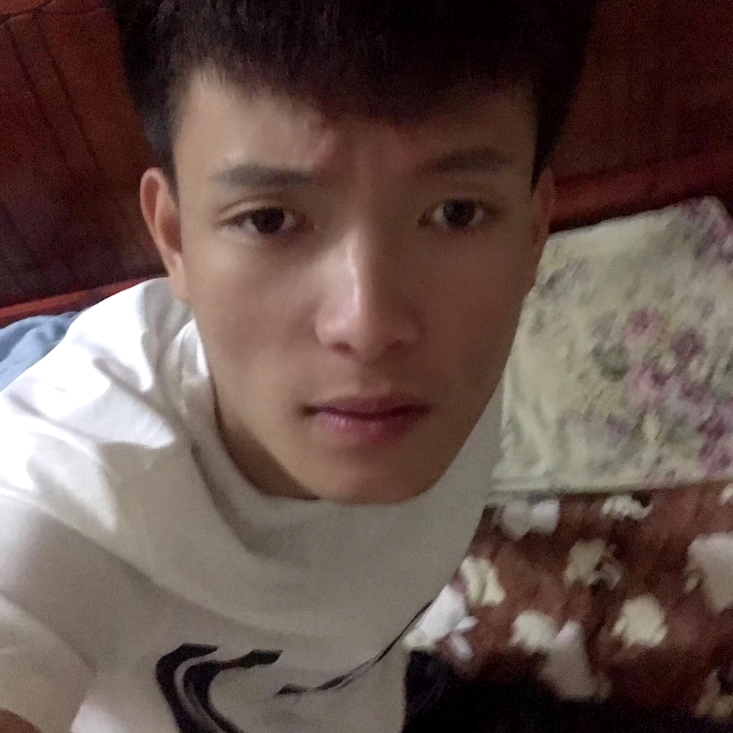 黄花雀的照片