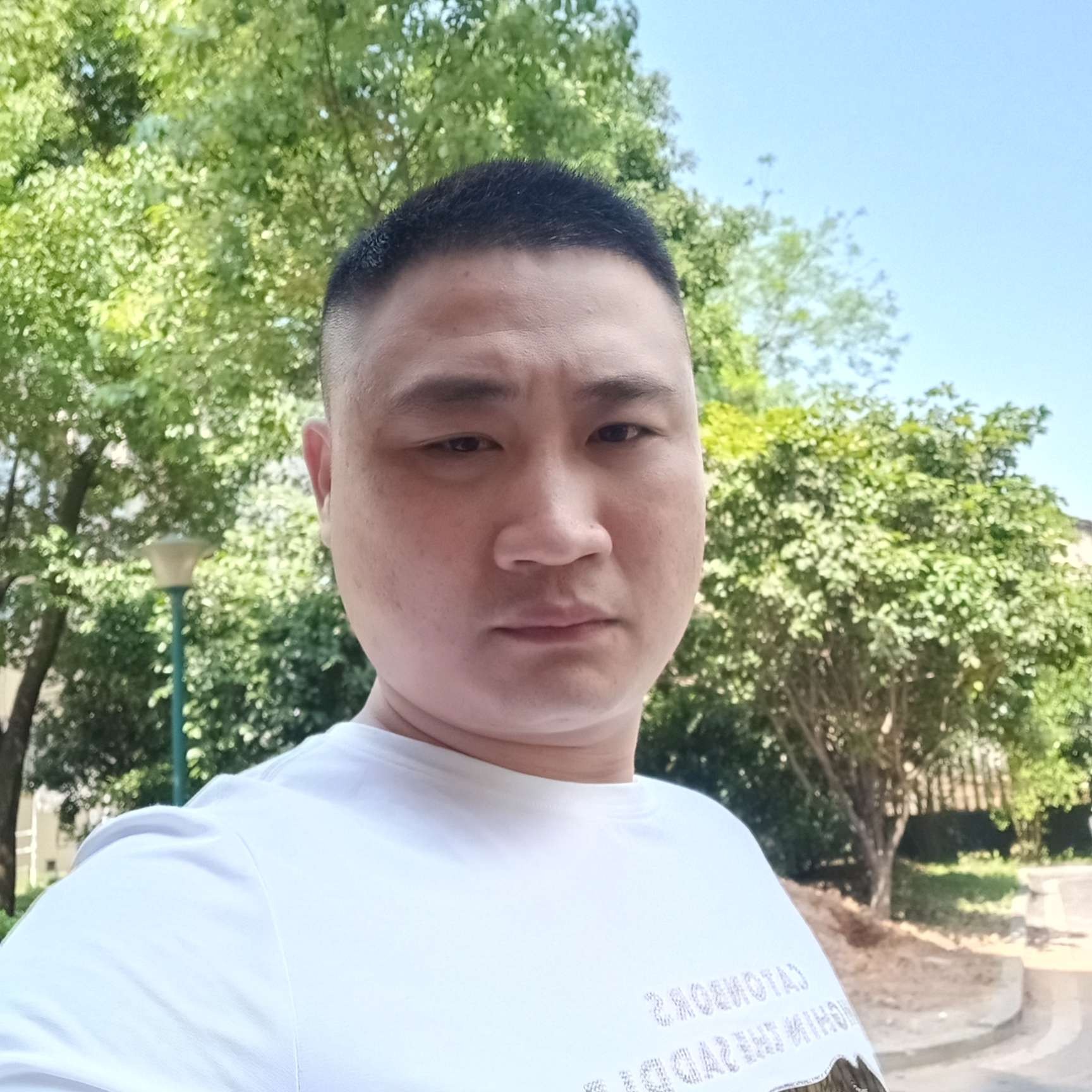 数据线迎雪白的照片