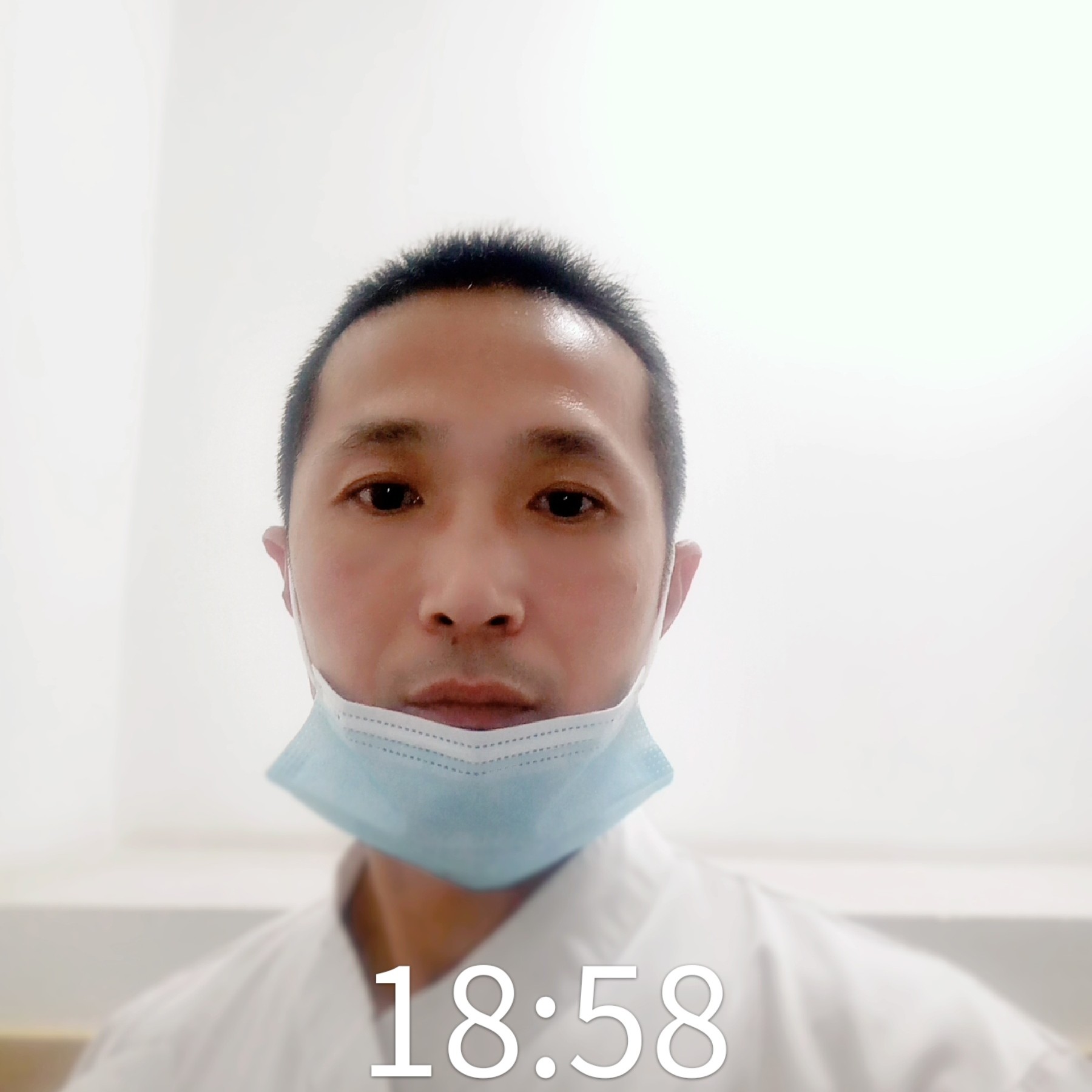 白猫等待默默的照片