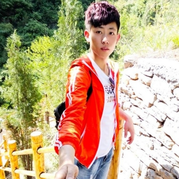 ..。的照片