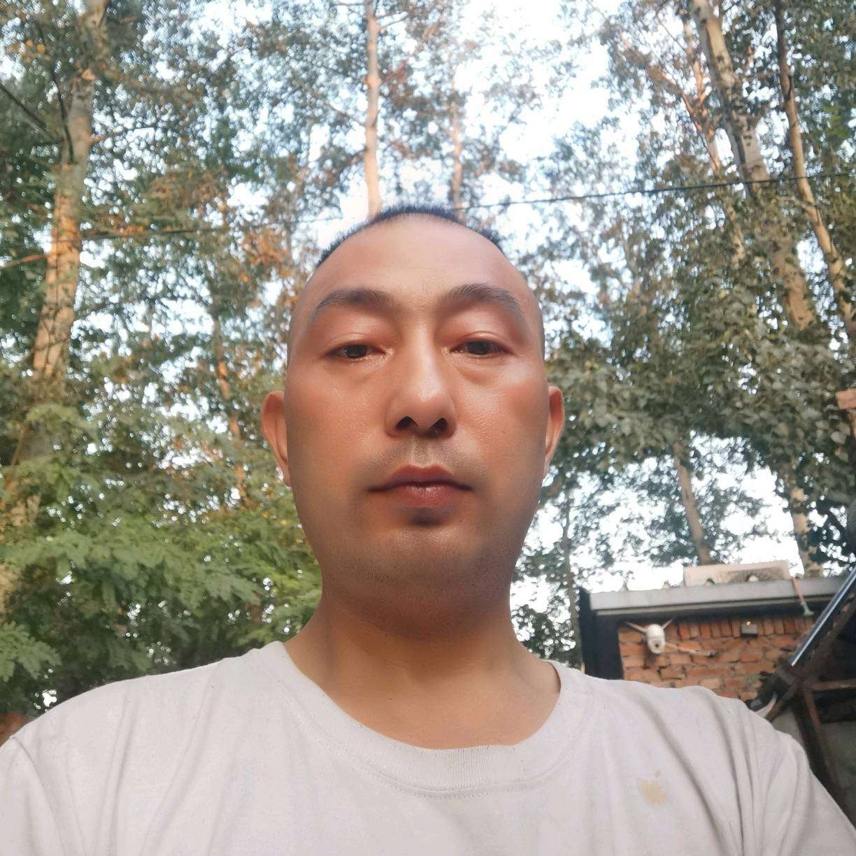 迷离回眸瑞雪的照片