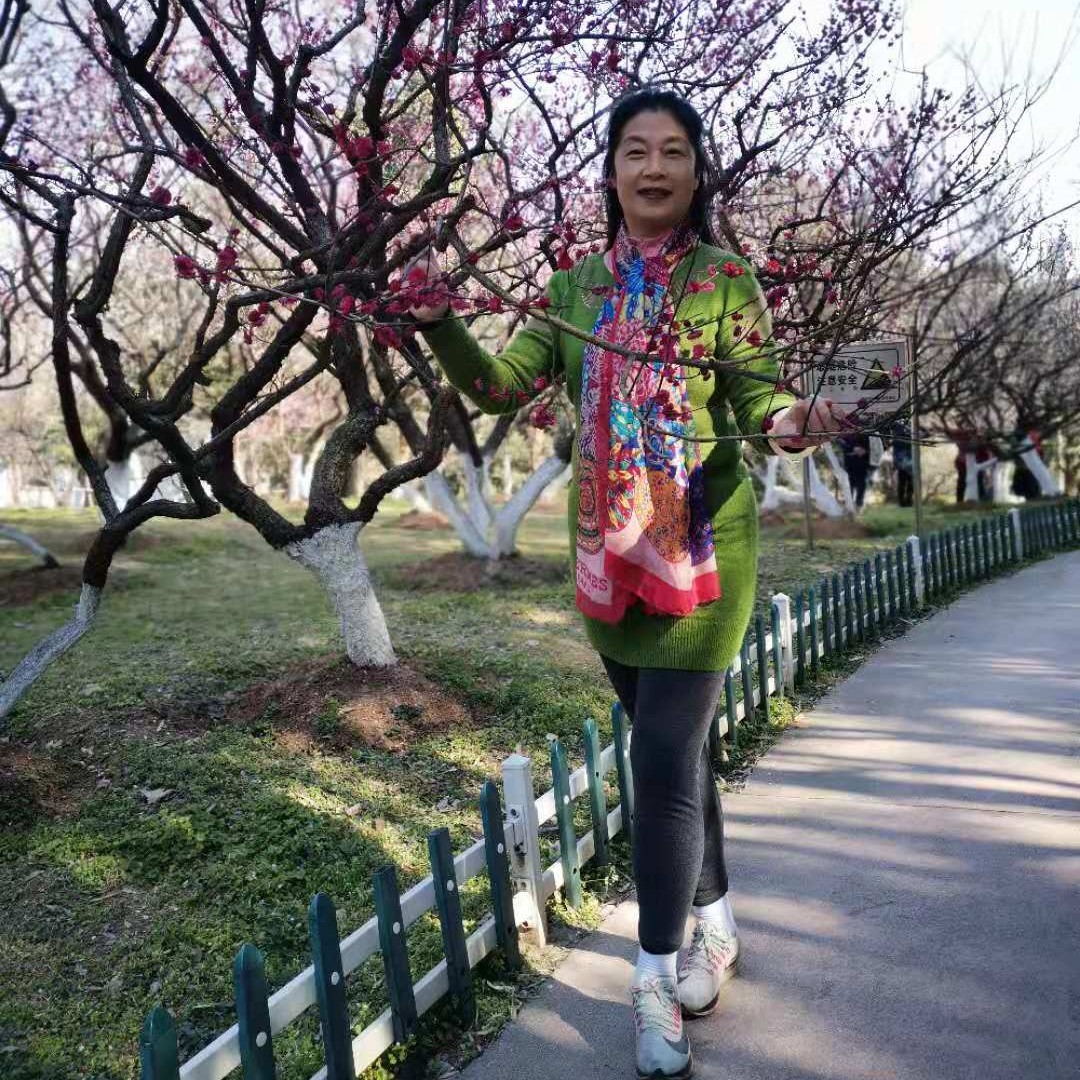 优美請溪流的照片