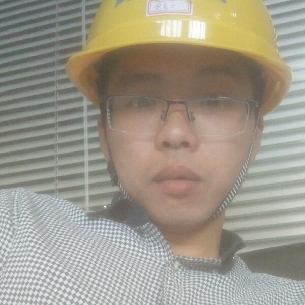 知性大象漫步的照片