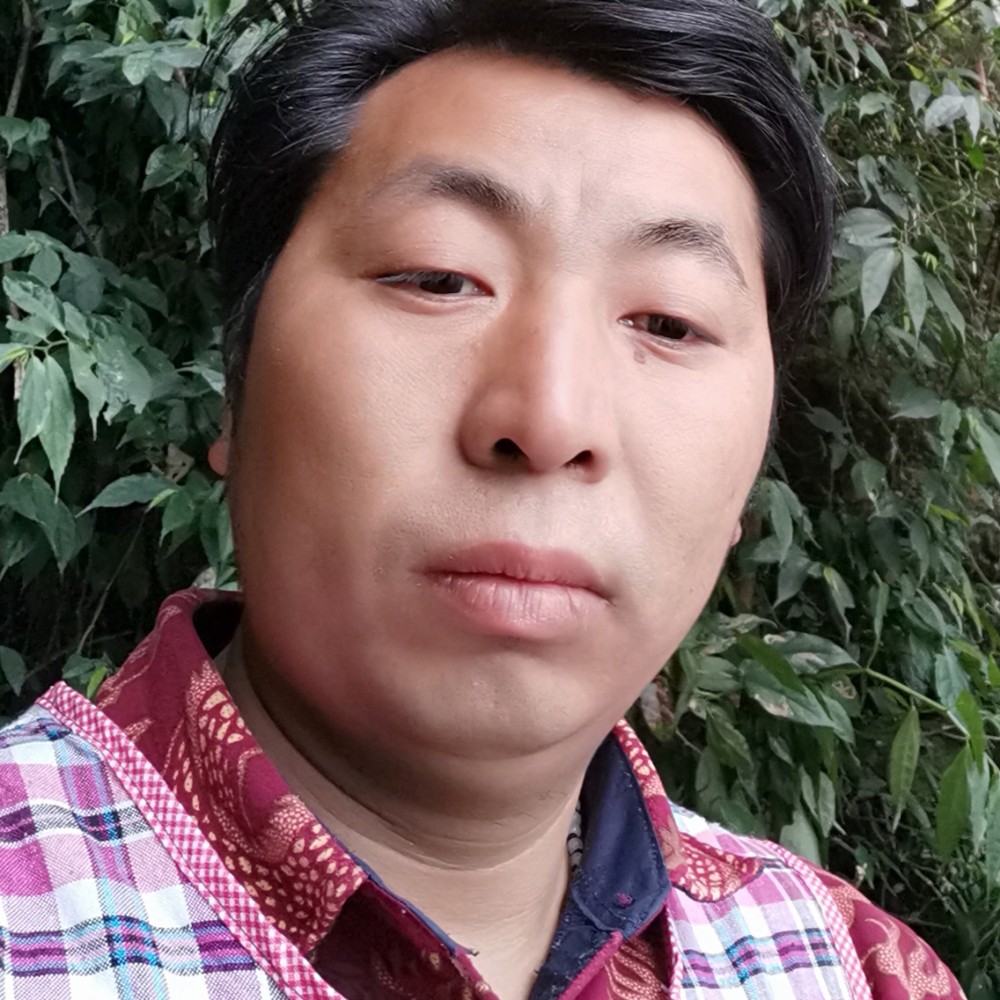 青栀放弃强健的照片