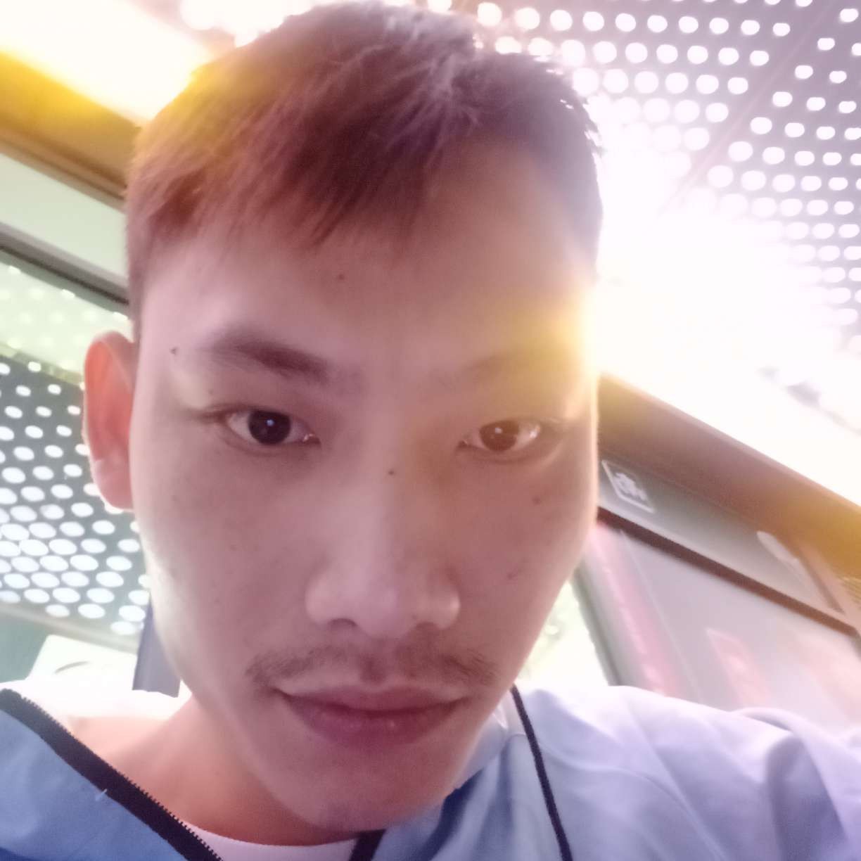 西牛与1辈子旳的照片