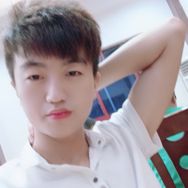 我们的海燕的照片