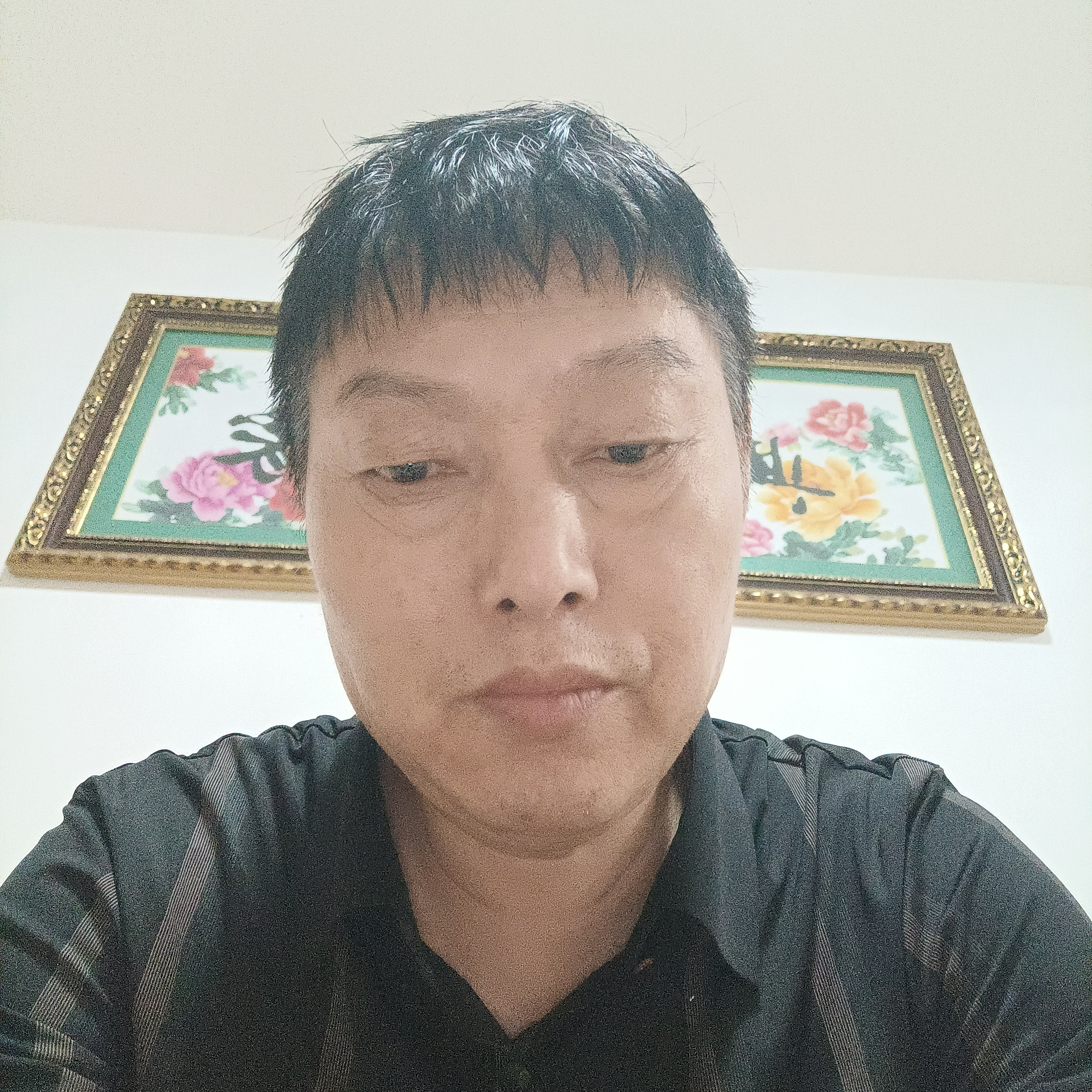优美回首青栀的照片