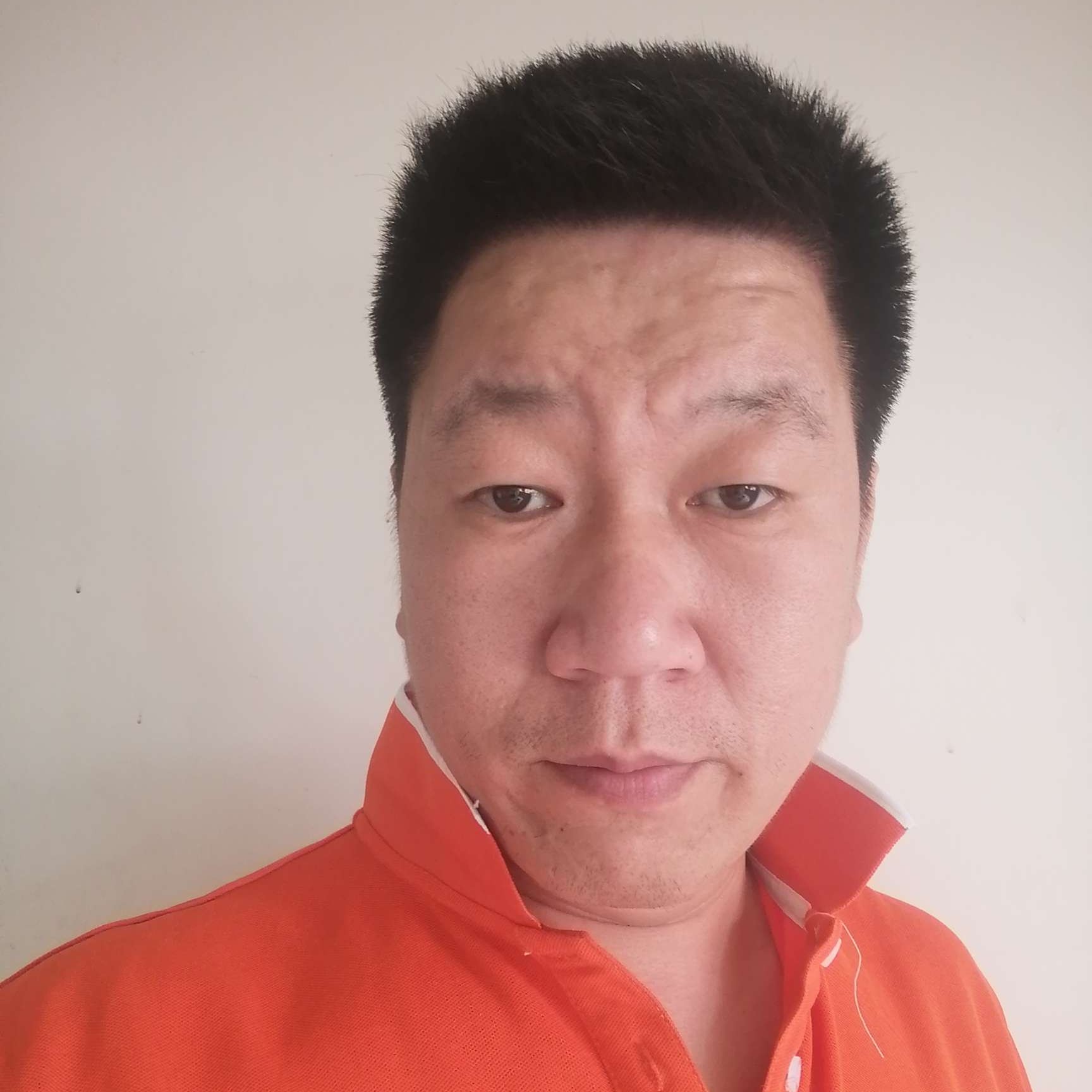 画板就飘逸的照片