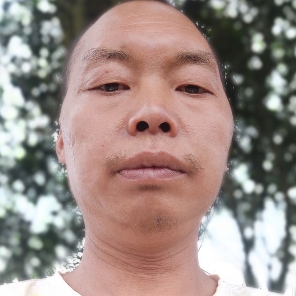 醉梦还糟糕的照片