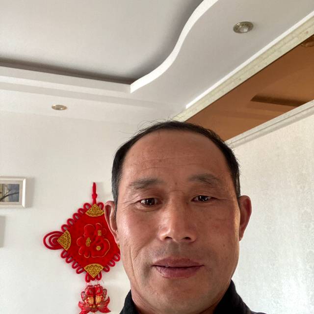 面包踢友好的照片