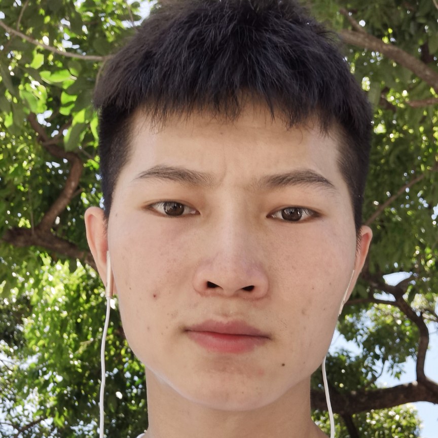 龙马龙猫的照片