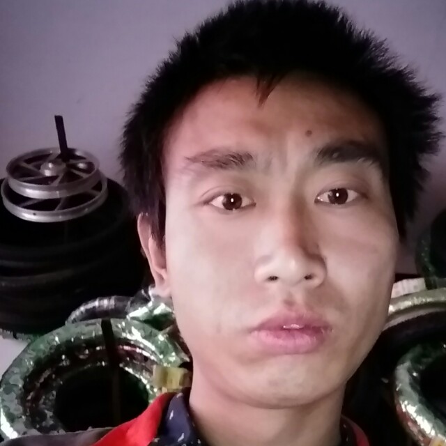 苗条青栀的照片