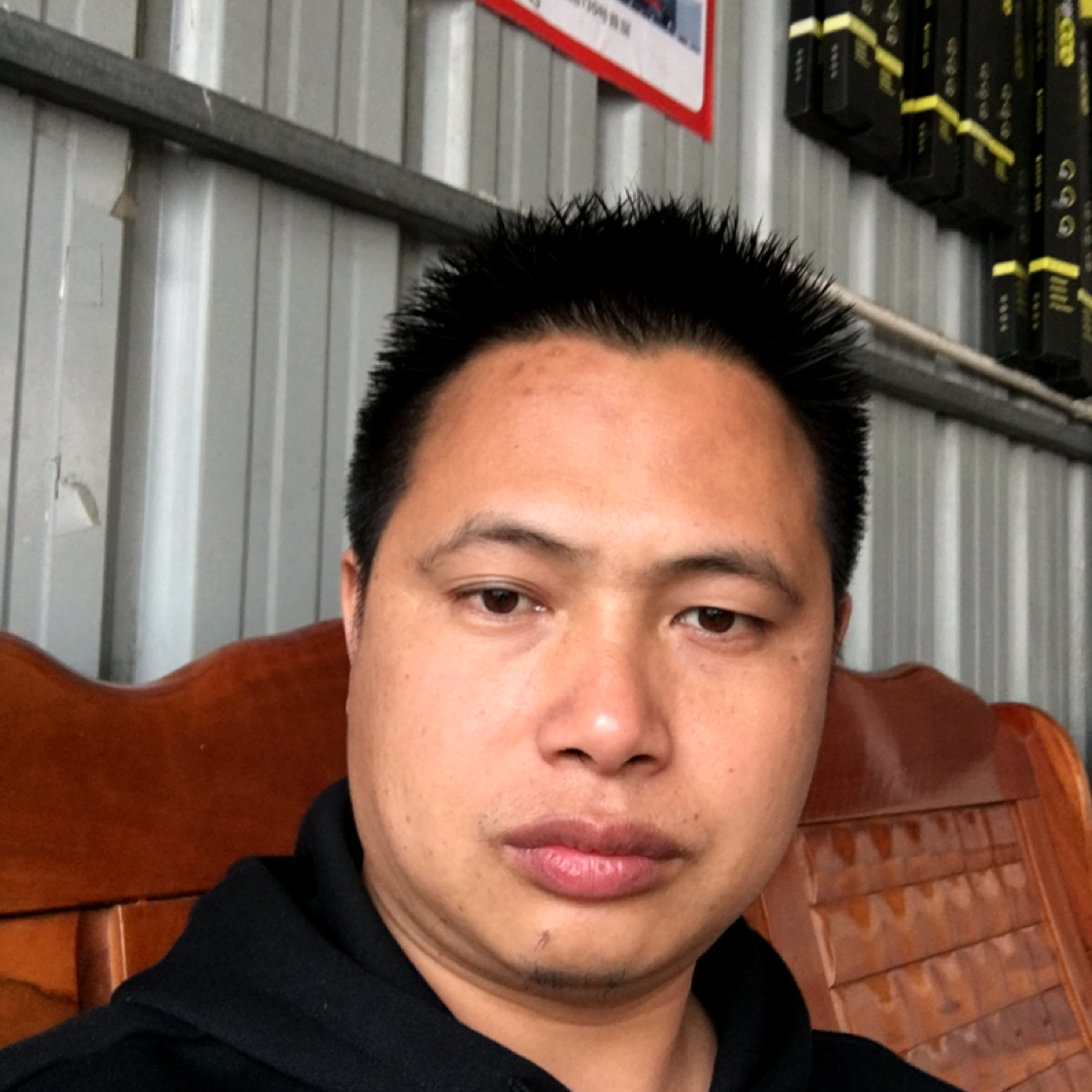 黄蜂回眸沉静的照片