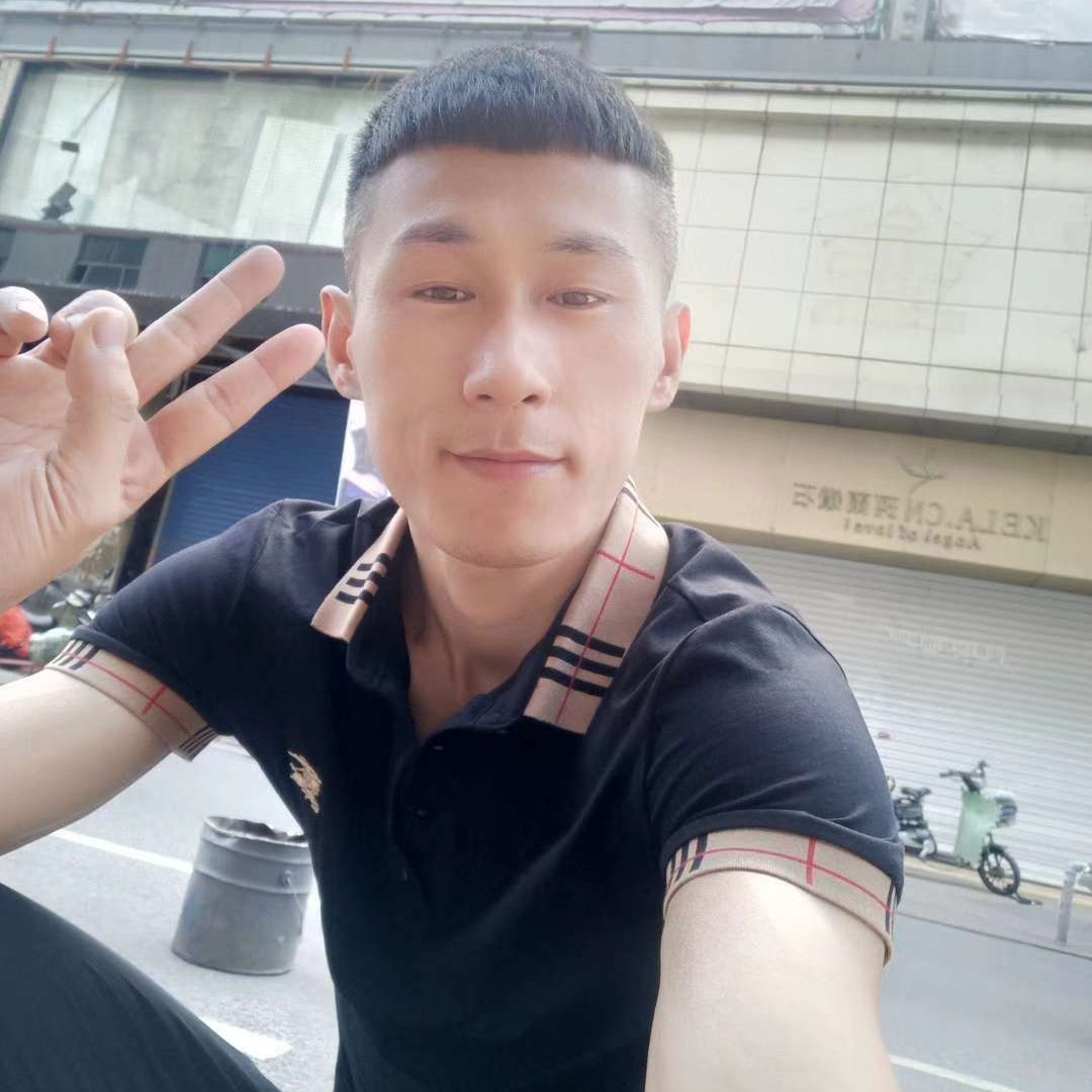 黯然滴小海豚的照片