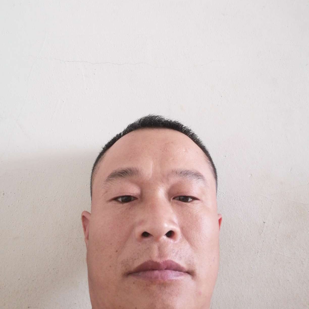 青花挽手听话的照片